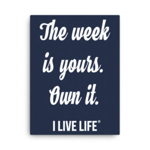 Own it | Motivational Quote Canvas 18×24